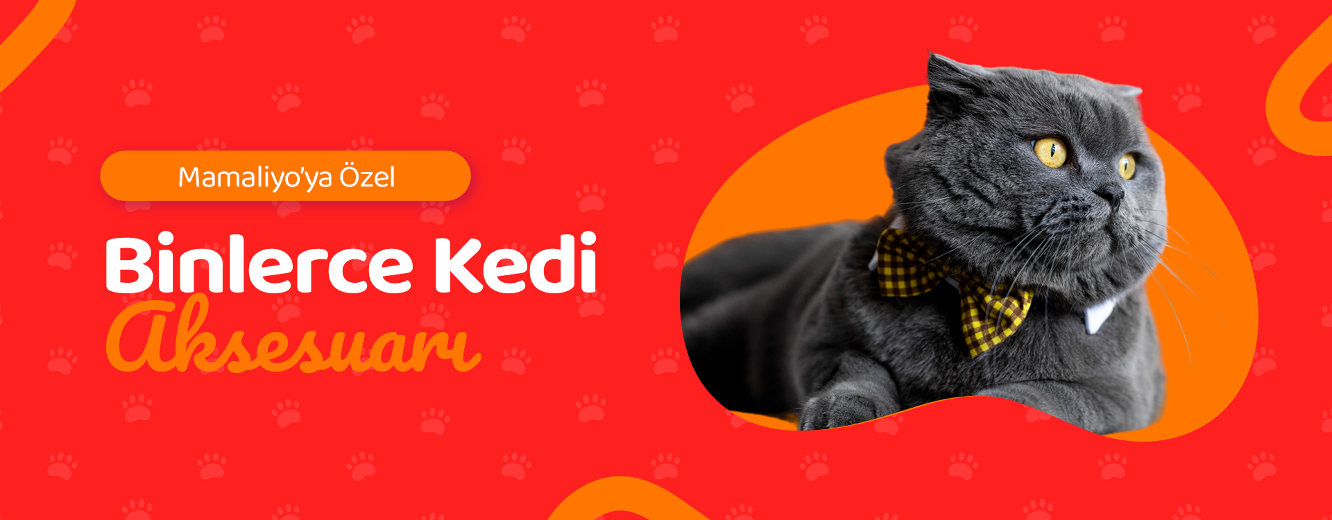 mamaliyo kedi aksesuar