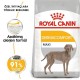 Royal Canin Adult Maxi Dermacomfort Yetişkin Köpek Maması 12 Kg