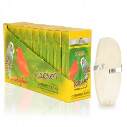 GWC Kutu Mürekkep Bal.Kemiği (Kalamar) 