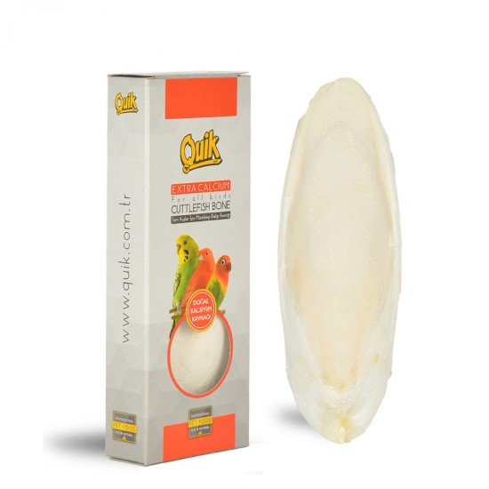 Quik Mürekkep Bal.Kemiği Orta  (Kalamar)