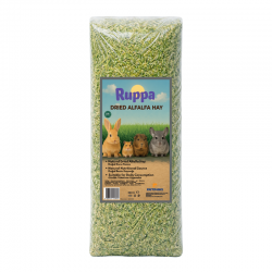 RUPPA KEMİRGEN YONCASI